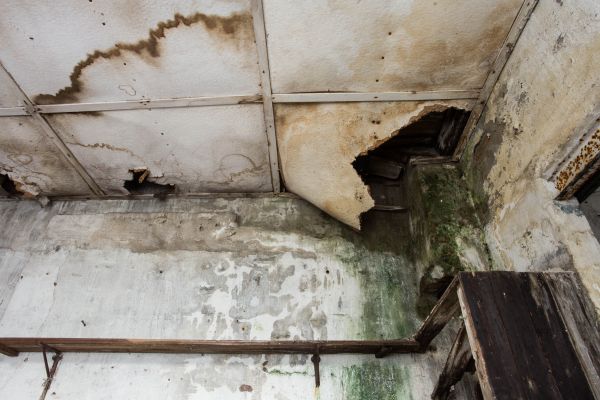 Water Damage Service in Scottsdale