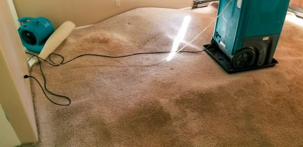 Cost of Flood Damage Cleanup in Scottsdale