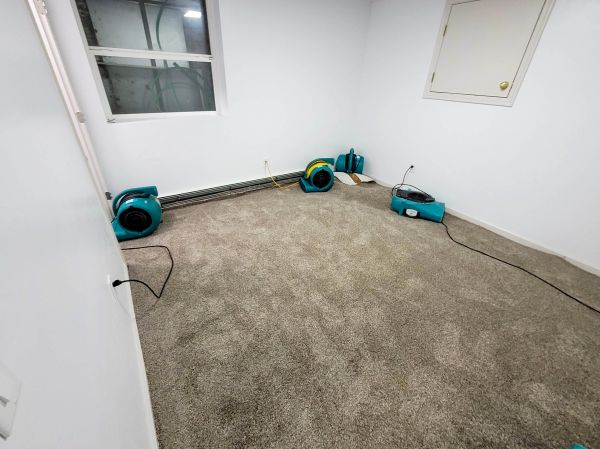 Flood Restoration Service in Scottsdale