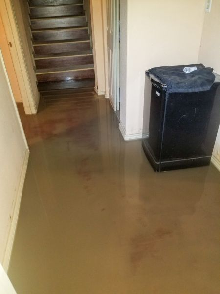 Cost of Emergency Water Removal in Scottsdale